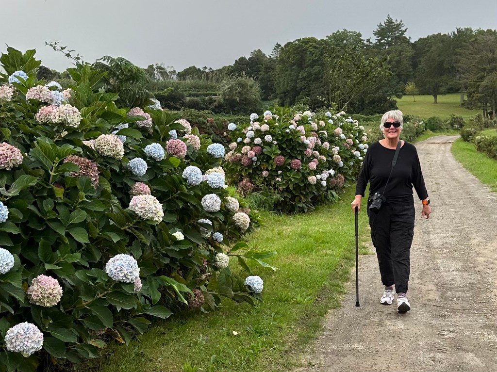 Portugal:  Obrigado a Ponta Delgada, Azores 