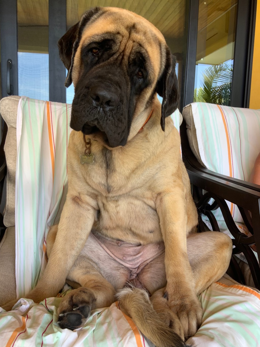 A Love Letter:&nbsp;Saudade